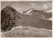 1931 MADONNA DI CAMPIGLIO Cima Vallazza Roma e Vedretta Flavona Trento Cartolina