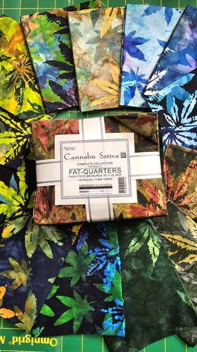 Cannabis sativa fat quarter - cannabis,