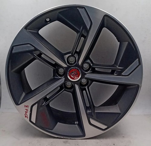 Cerchio lega jaguar pace - cerchio, in