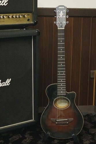 Chitarra acustica elettrica