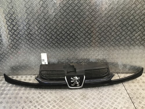 Griglia radiatore peugeot - radiatore,