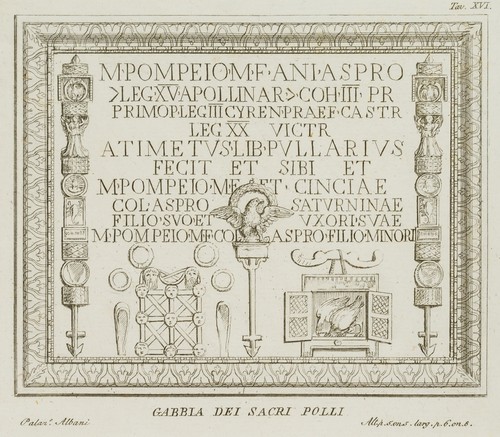 Gabbia dei sacri - , polli