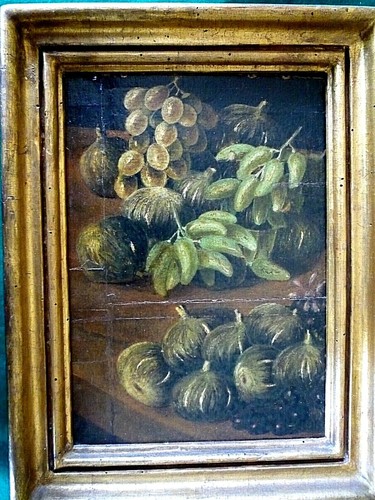 Natura morta olio tavoletta - morta,