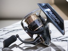 Mulinello Daiwa 17 Theory 1003