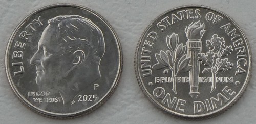 Usa dime centesimi 2025 - dime, p