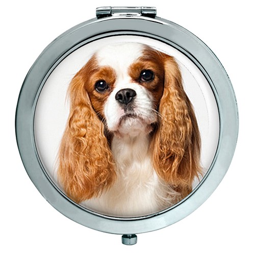 Giftshop cavalier king - cavalier,
