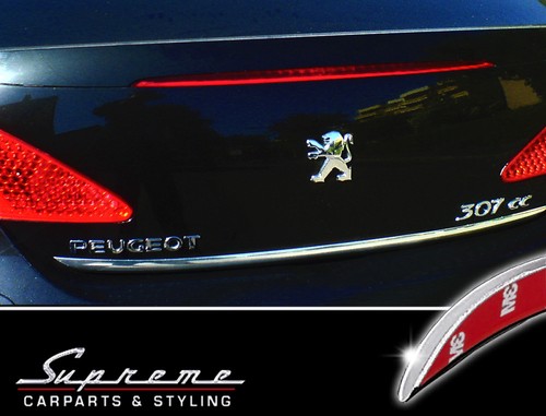 Modanatura cromata peugeot 307 - modanatura,