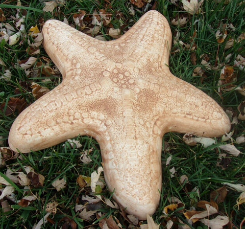Stampo grande starfish - stampo,