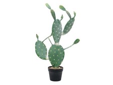 Nopal Cactus Artificiale