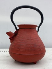 Teiera giapponese iwachu nambu - teiera,