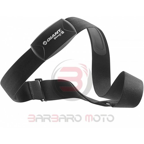 Giant fascia cardio ant - giant,