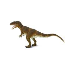 Carcharodontosaurus Dinosauro