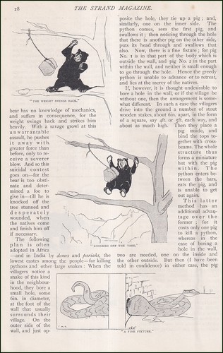 Tricky animal traps - animal, traps.