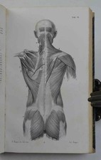 "Tavole anatomiche rappresentanti la struttura del corpo umano e loro spiegazion