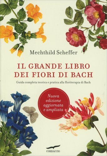 Libro grande - libro, dei