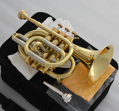 Tromba tascabile professionale