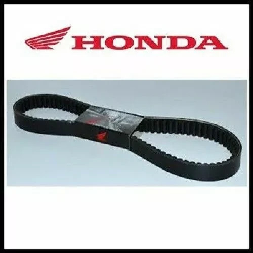 Cinghia trasmissione originale - cinghia,
