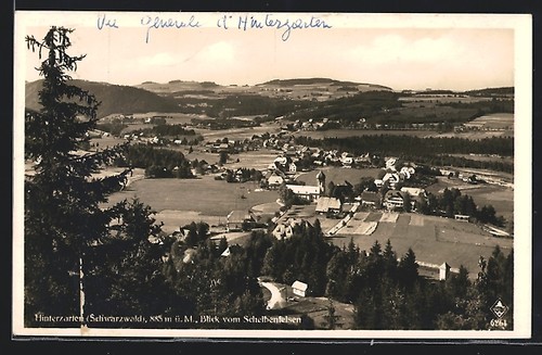 Hinterzarten foresta - hinterzarten,