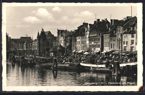 Cartolina königsberg - cartolina,