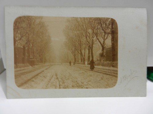 20087 torino viale - 20087),
