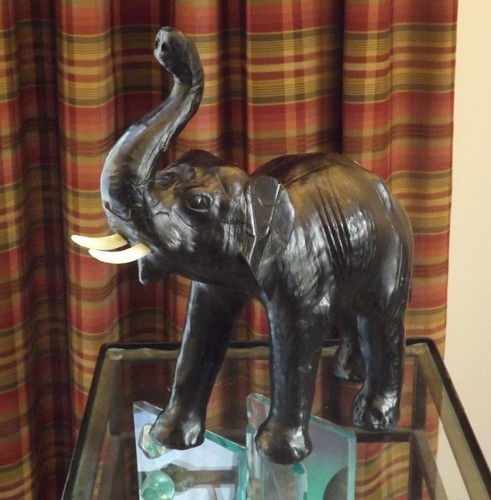 Buona fortuna elefante - buona,