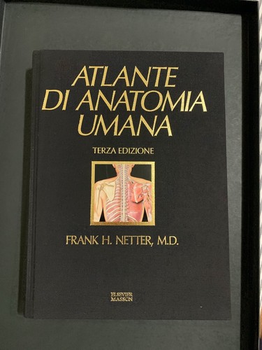 Atlante anatomia umana - di,