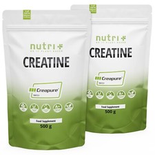 Creatina Monoidrato in Polvere