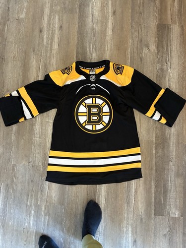 Boston bruins fanatics - bruins,