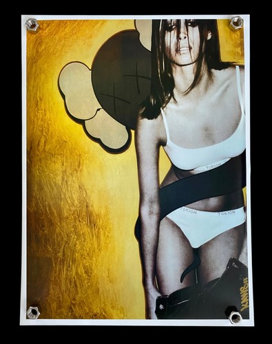 Raro kaws tokion poster - x, tokion.