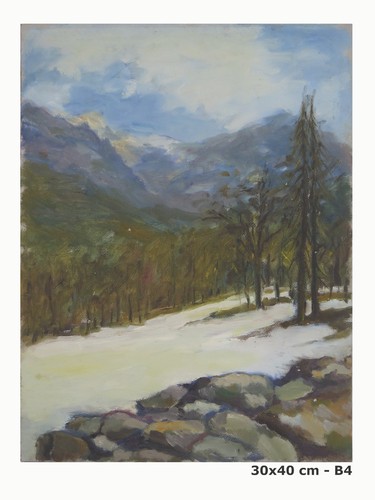 Quadro olio paesaggio - olio,