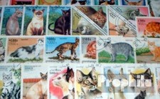 Motivazioni 100 diversi Gatti