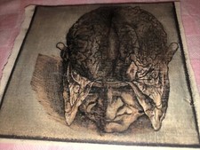 Antica Incisione Disegno