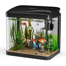 Acquario in Vetro Acquario