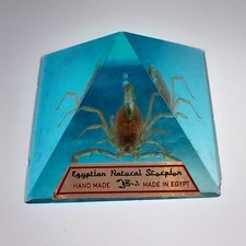 Egyptian Natural Scorpion Blue
