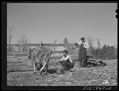 Foto zebulon north carolina - zebulon,