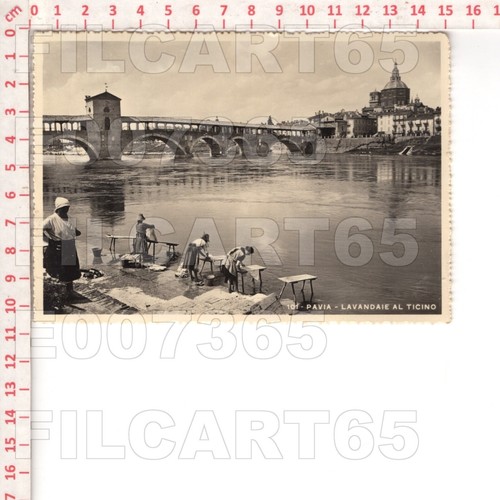 E7365 pavia citta 1948 - pavia,