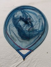  Testa Di Guadino Ovale