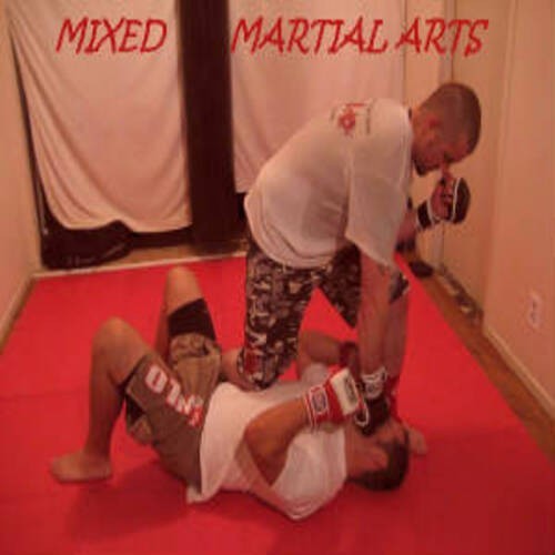 Shooto jitsu mma black belt - black,