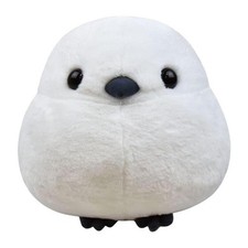 AMUSE Fukufuku Shimaenaga coda