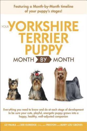 Your yorkshire terrier puppy - yorkshire,