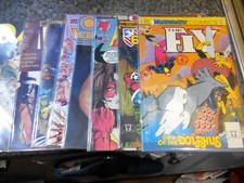 The Fly 8, jaguar, protezione