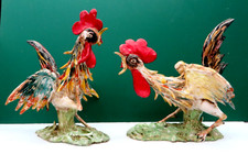 COPPIA GALLETTI CHE COMBATTONO