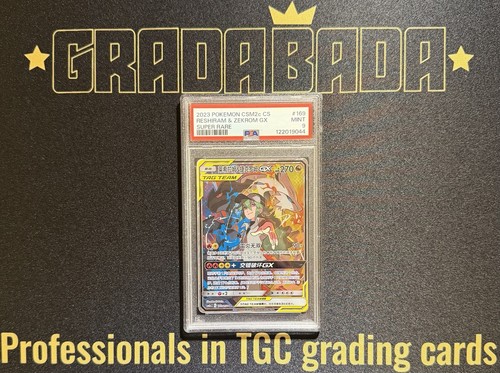 Reshiram zekrom psa 9 - psa, cs