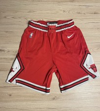 Nike NBA Chicago Bulls Shorts