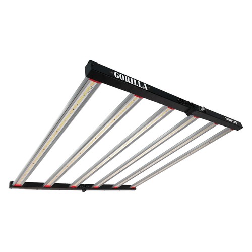 Gorilla 720w luce - gorilla, di