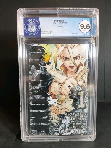 Stone 2022 in lingua - dr.stone,