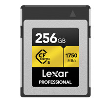 256GB Lexar Professional