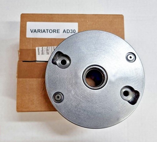 Variatore anticipo 98498384 - anticipo,