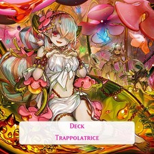 Yu Gi Oh Yugioh! Deck Mazzo Trappolatrice Pinguicula Atypus Pudica Arachnocampa