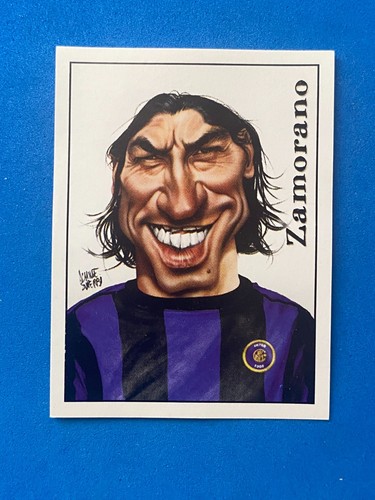 Figurine calciatori panini - figurine,